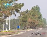 Павлодарлық биологтар қазіргі экожүйеге алаңдаулы