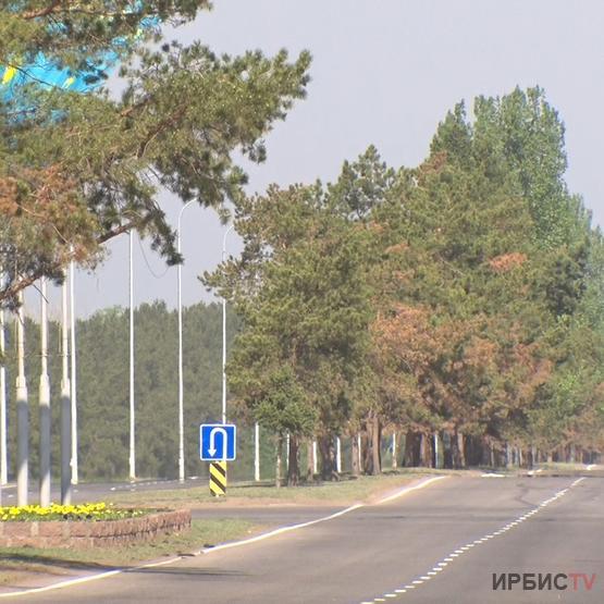 Павлодарлық биологтар қазіргі экожүйеге алаңдаулы