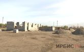 Павлодарда 300 ит пен мысыққа арналған пана құрылысына қаражат жетпеуде