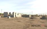 Павлодарда 300 ит пен мысыққа арналған пана құрылысына қаражат жетпеуде