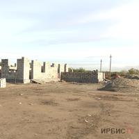 Павлодарда 300 ит пен мысыққа арналған пана құрылысына қаражат жетпеуде