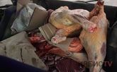 Екібастұзда көлік салонынан табылған ет тексеруге себеп болды