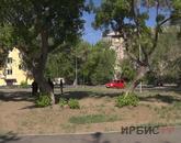 Павлодарлықтар: «Ауладағы құрылысқа қарсымыз!»