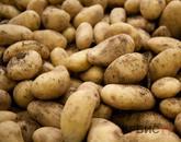 Картоп бағасы неге шарықтап тұр?