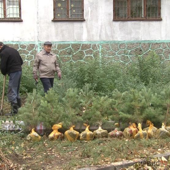 Павлодарда экологиялық акция аясында қандай шаралар атқарылуда?