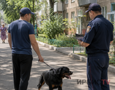 Көшедегілерді шошытқан: Павлодарда итін тұмылдырықсыз серуендеткен тұрғындар жазаланды