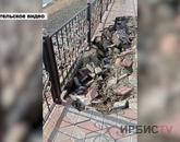 «Қар суымен бірге жағажайдың кеспетастары да еруде»