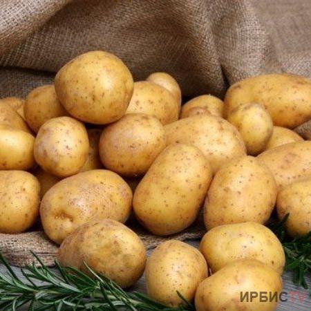 Әлеуметтік дүкендерде картоп бағасы 90 теңгеден аспауы тиіс
