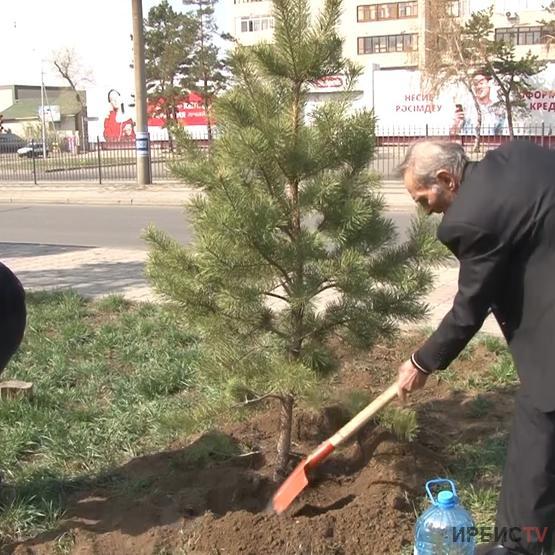 Павлодар педагогикалық Университетінің оқытушылар құрамы мен студенттері 30 ағаш отырғызды