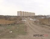 Павлодарда кезекті заңсыз қоқыс төгетін орын пайда болды