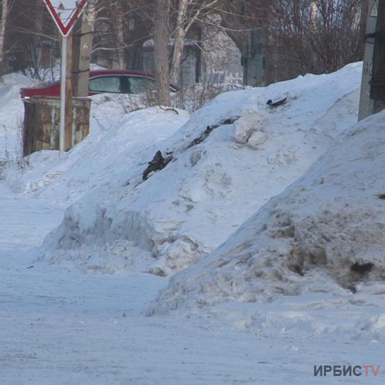 Павлодардағы жекеменшік сектор тұрғындары қар шығару мәселесін көтерді