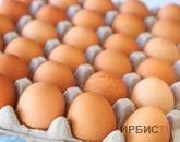 Павлодарда жұмыртқа арзандады