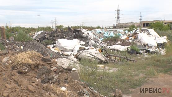 Павлодарда заңсыз қоқыс орындарын анықтау бойынша рейд өтті