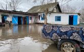 Павлодар облысында су тасқынынан зардап шеккен 120 отбасыға қолдау көрсетілуде